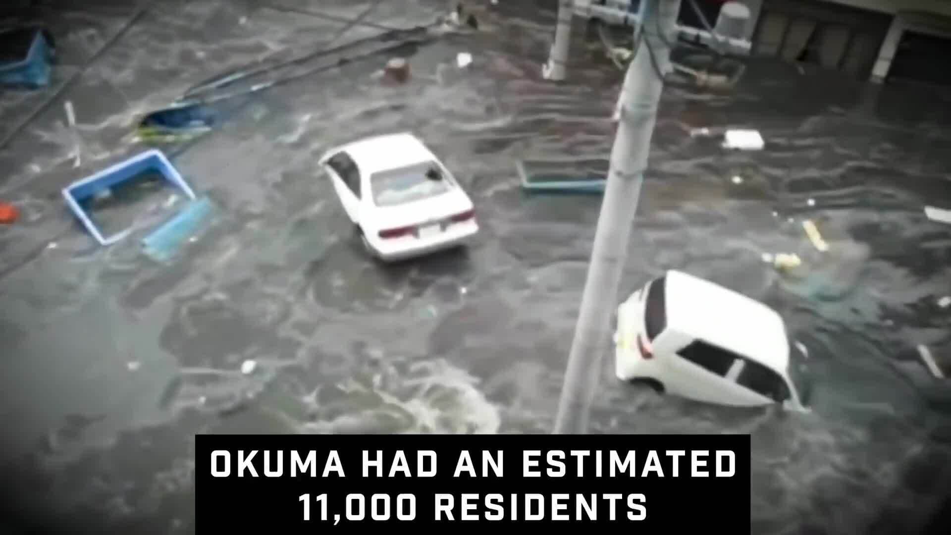 The Fukushima Disaster: Japan's Nuclear Crisis