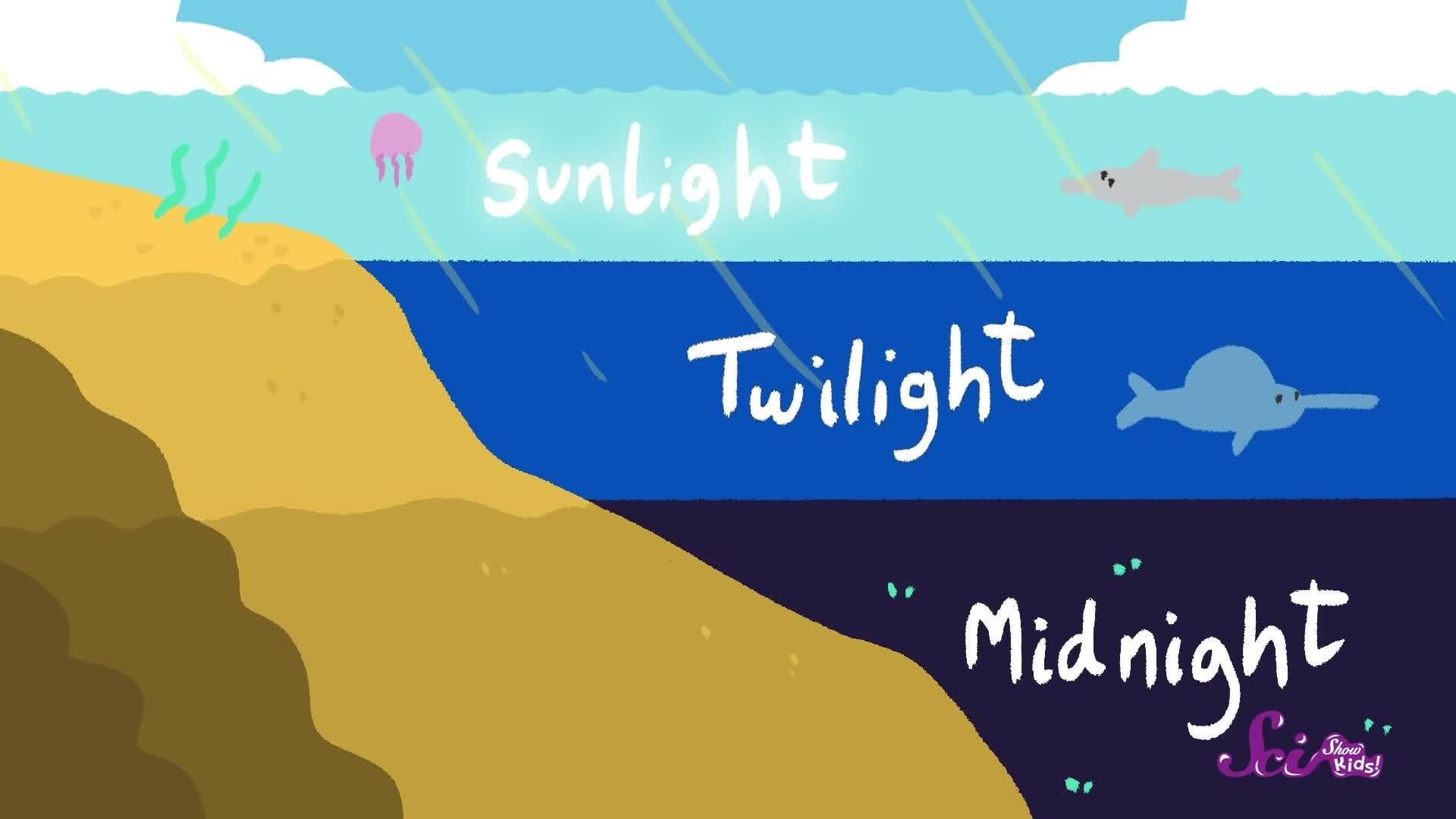 Make the Ocean in a Jar!