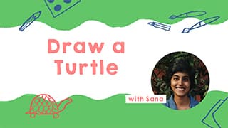 Turtle Drawing Guide