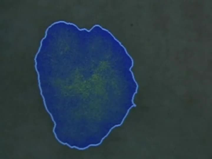 Magical Glass Technology: How does glass help doctors in the medical field