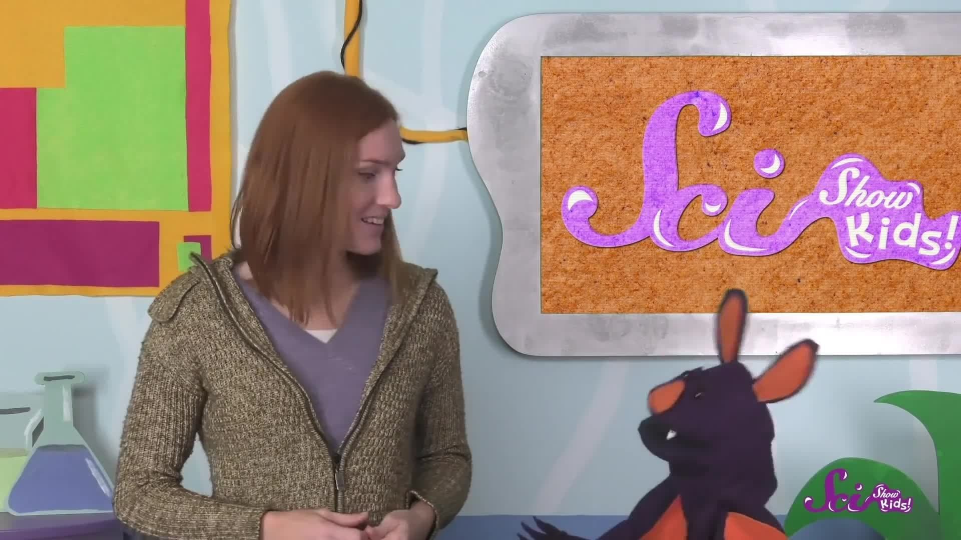 What Is Pumpkin Spice?