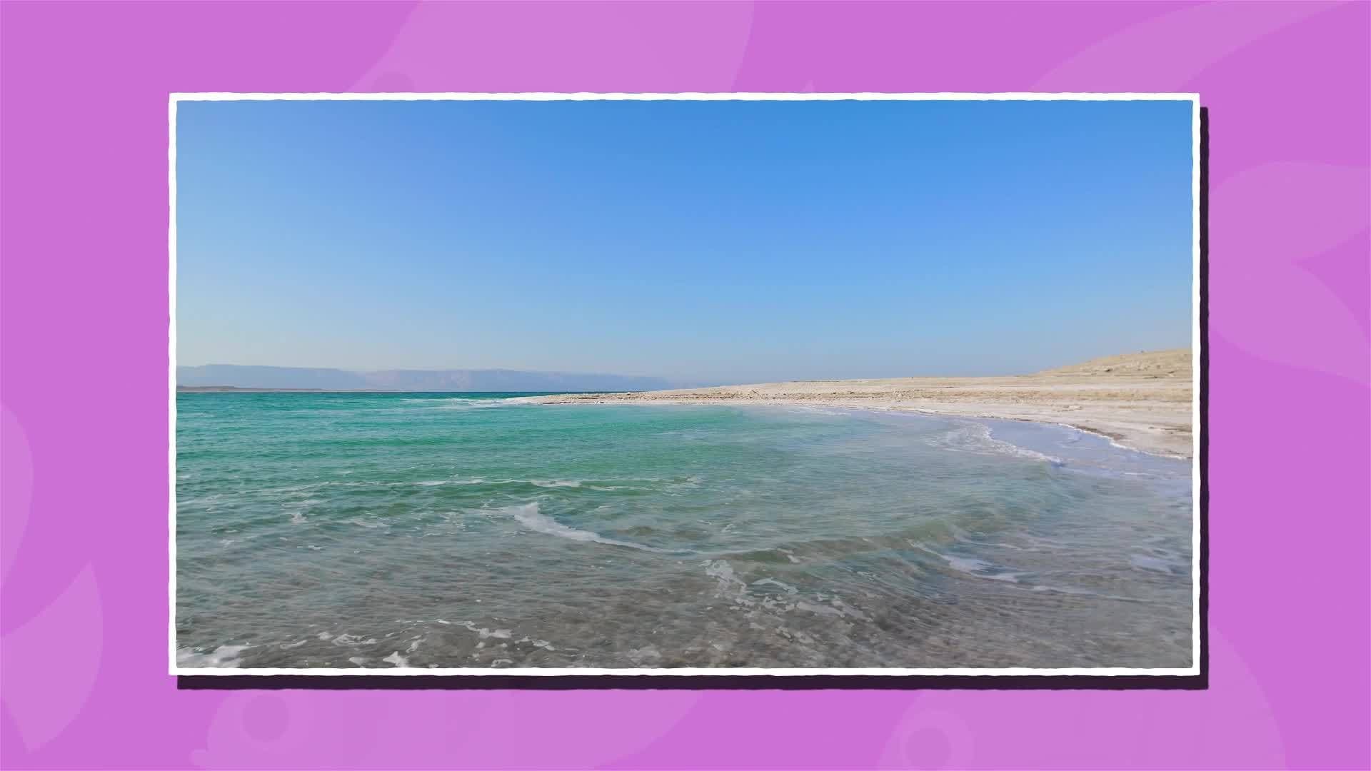 I WONDER - What Causes Tides?