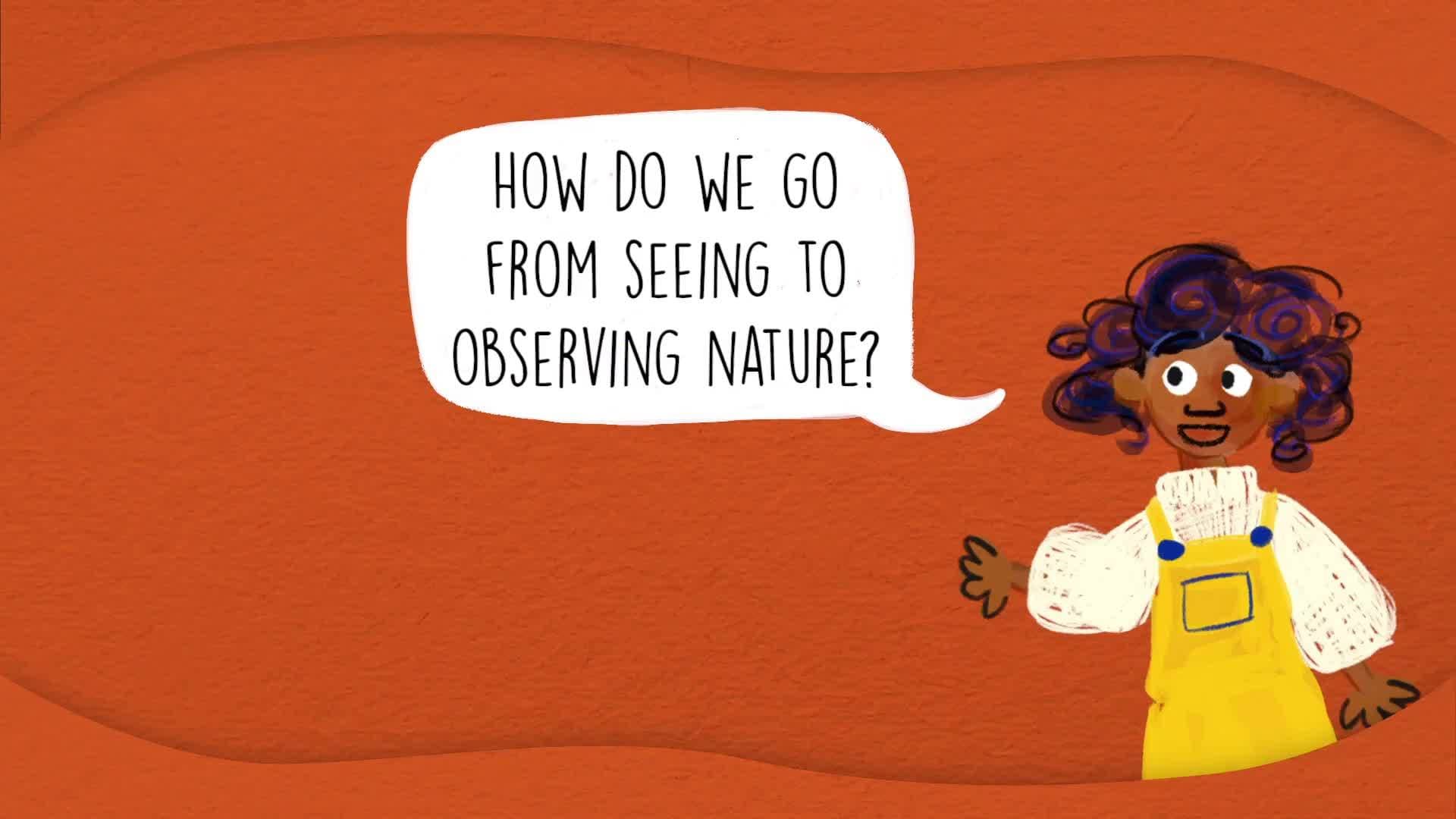 Let's Look and Sketch