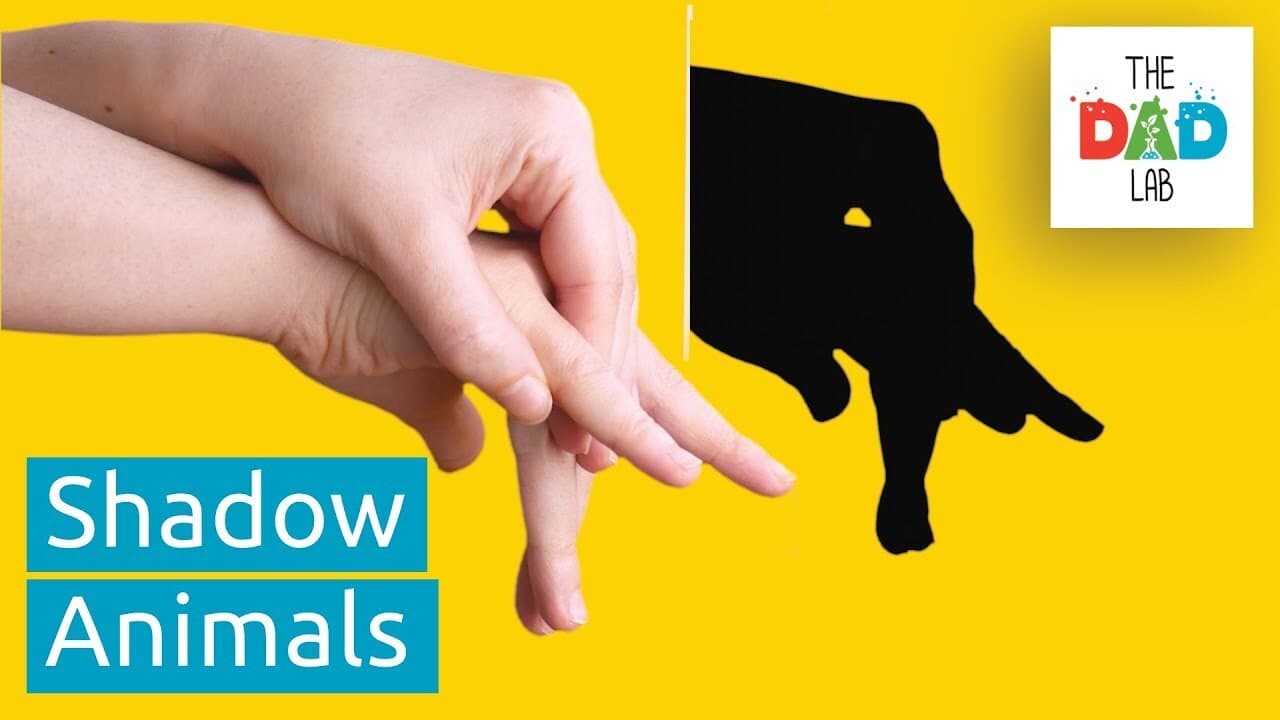 How to Make Animals Shadow Puppets