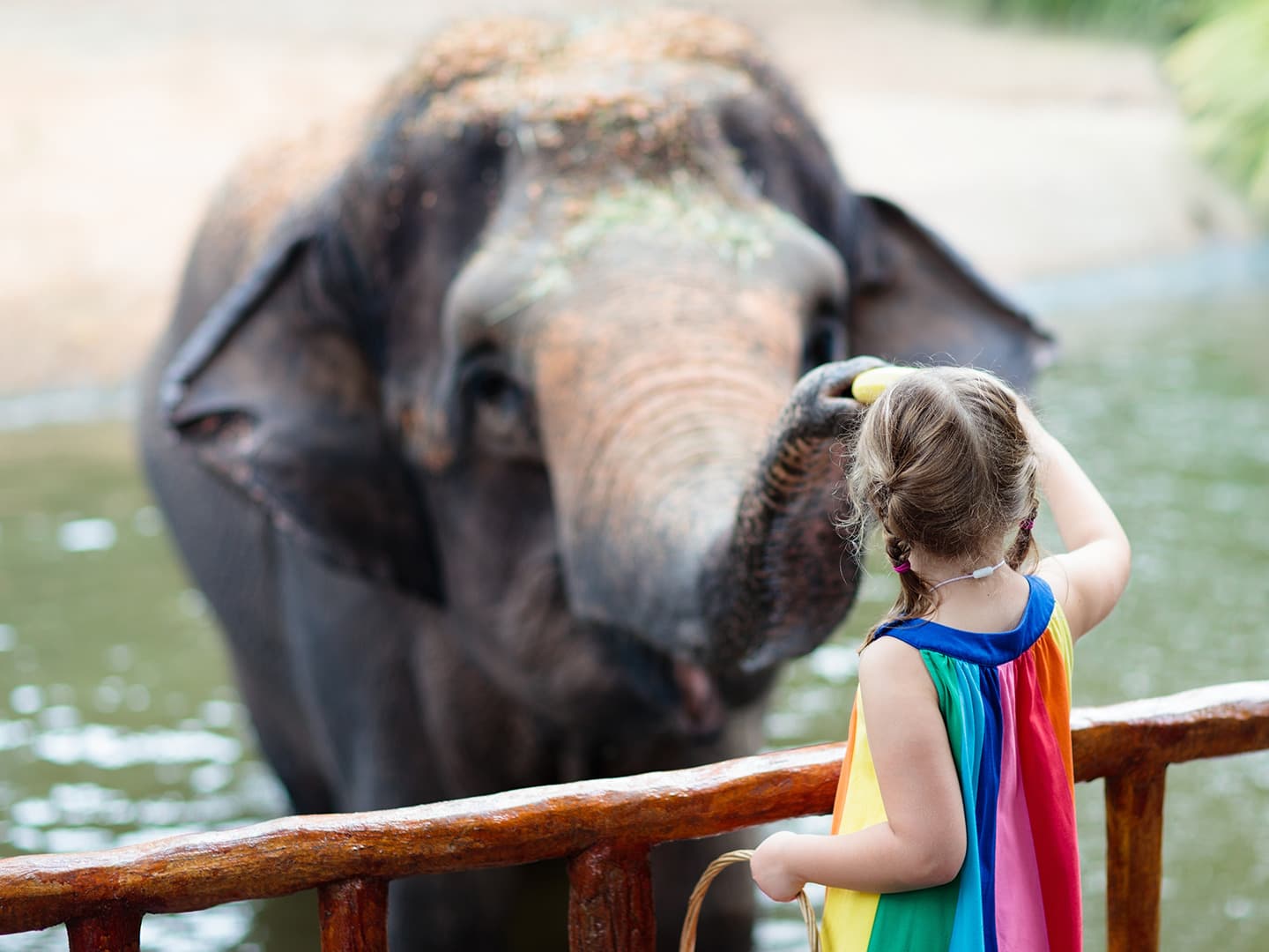 Exploring Independence and Growing Up