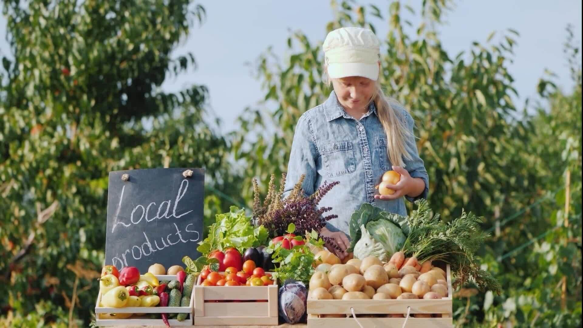 I WONDER - What Is Fair Food Trade?