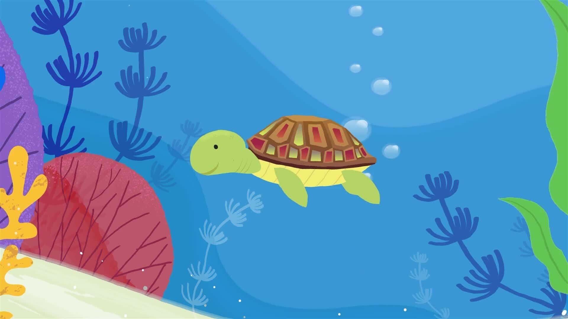 I WONDER - What Is A Hawksbill Turtle?