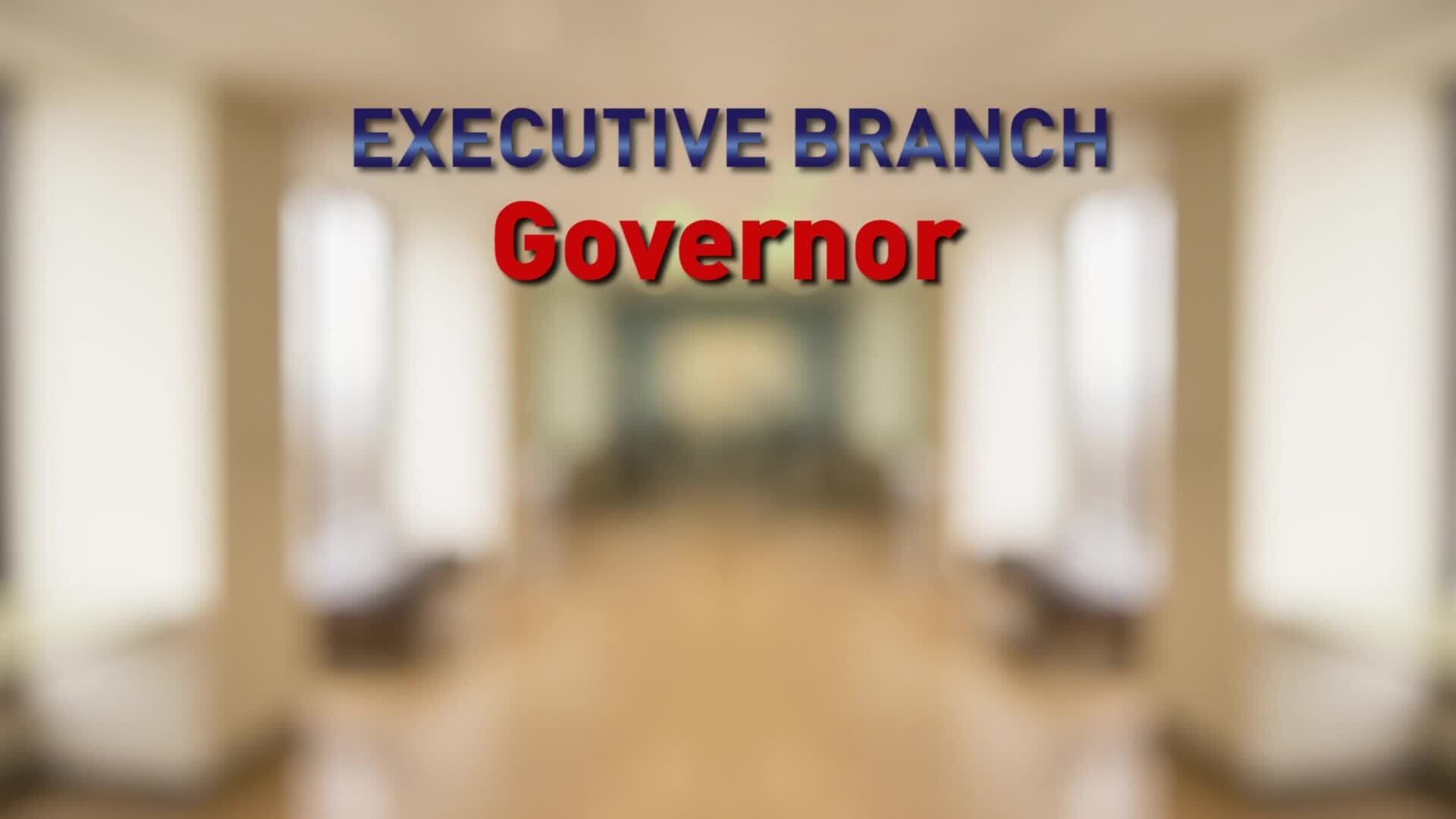 Understanding the Executive Branch of US State Government