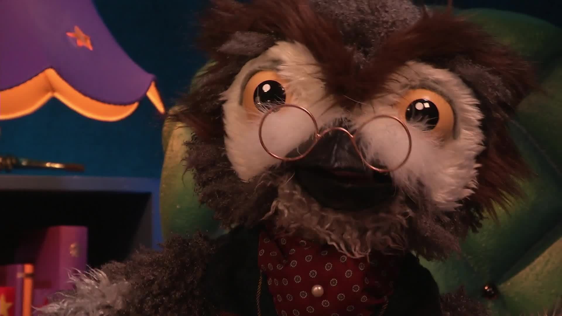 Owl's Fascinating Facts: Dabbling Ducks