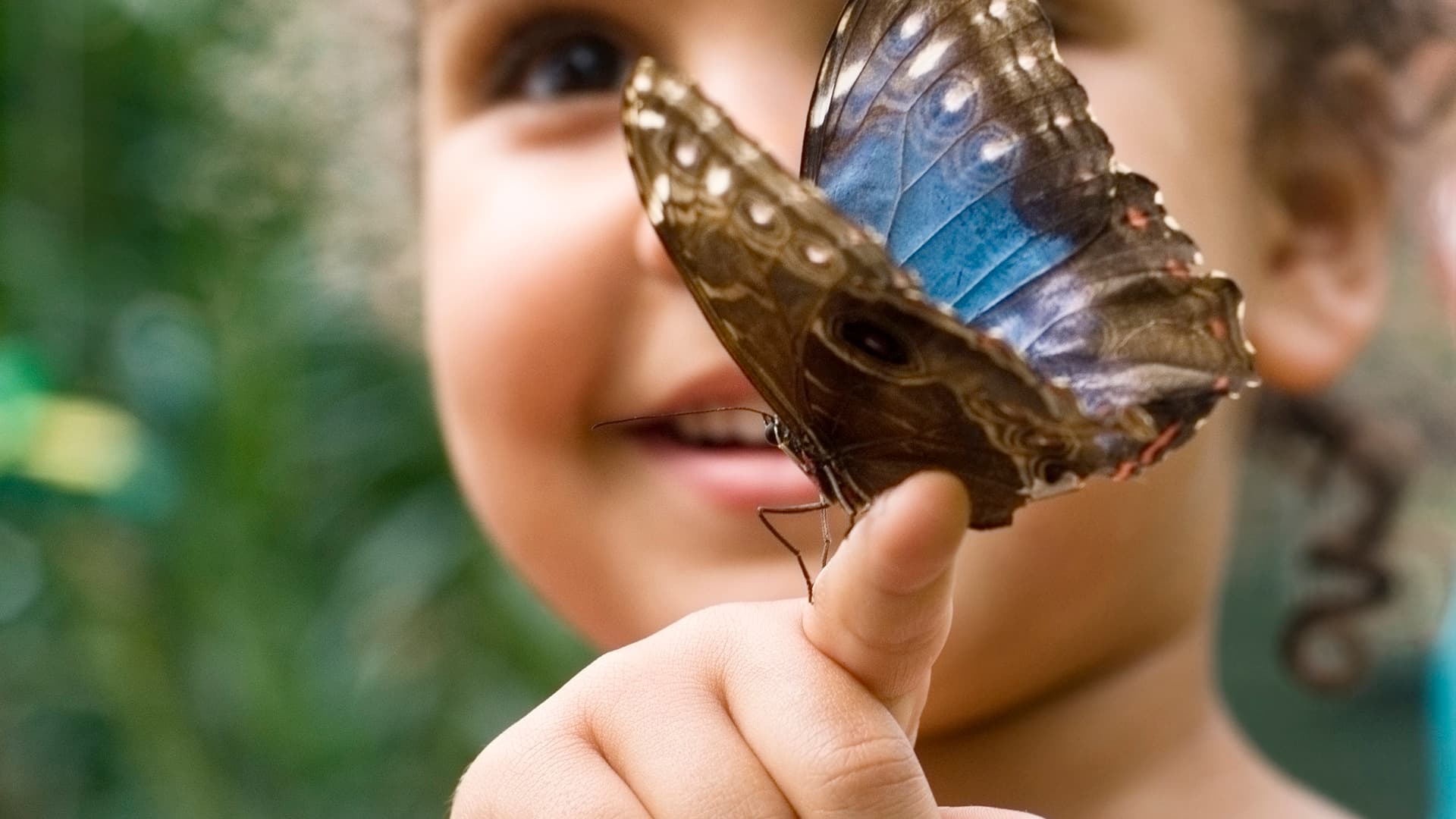 The Power of Determination: A Story of Success