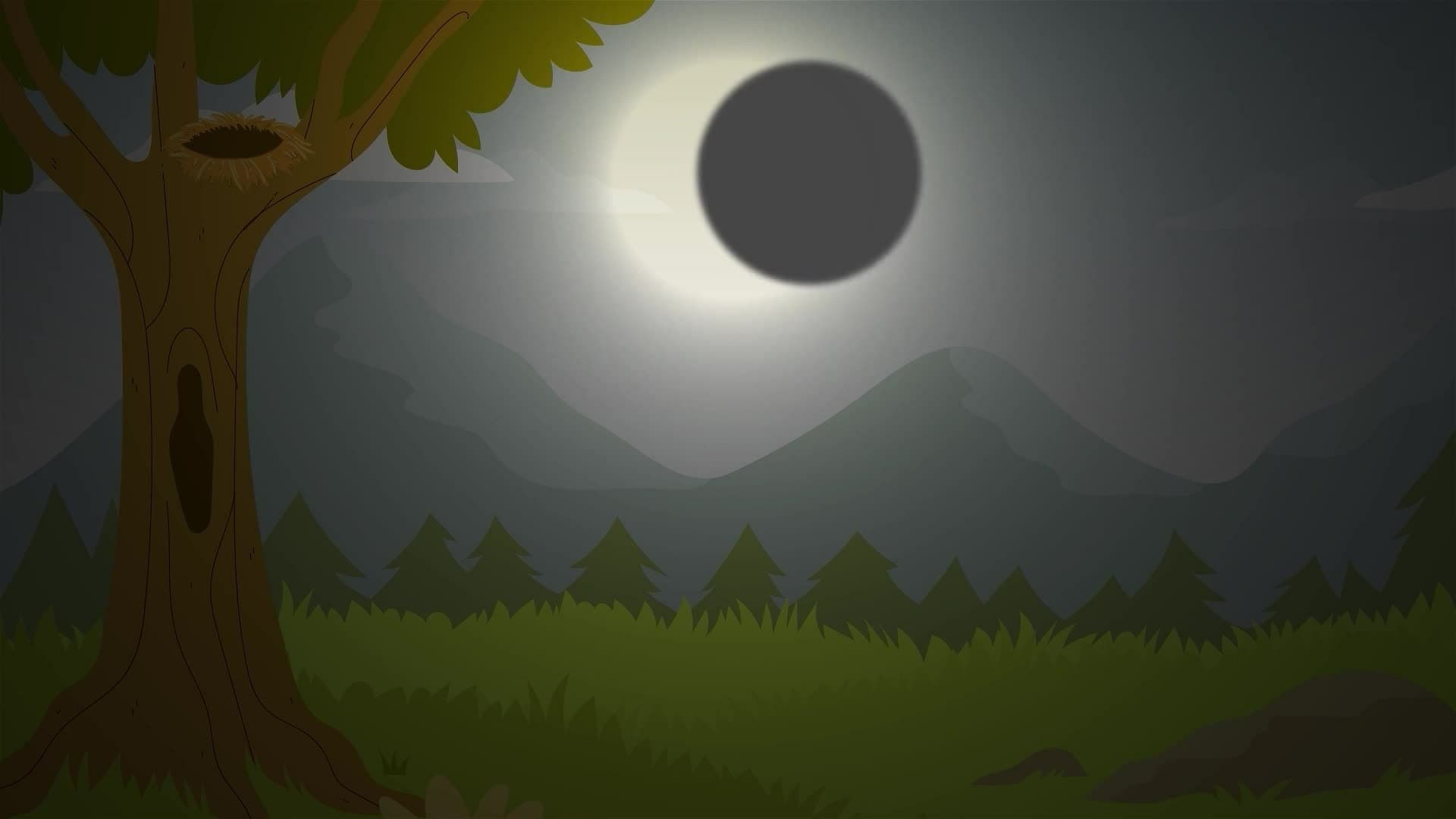 I WONDER - How Does An Eclipse Affect Animals?