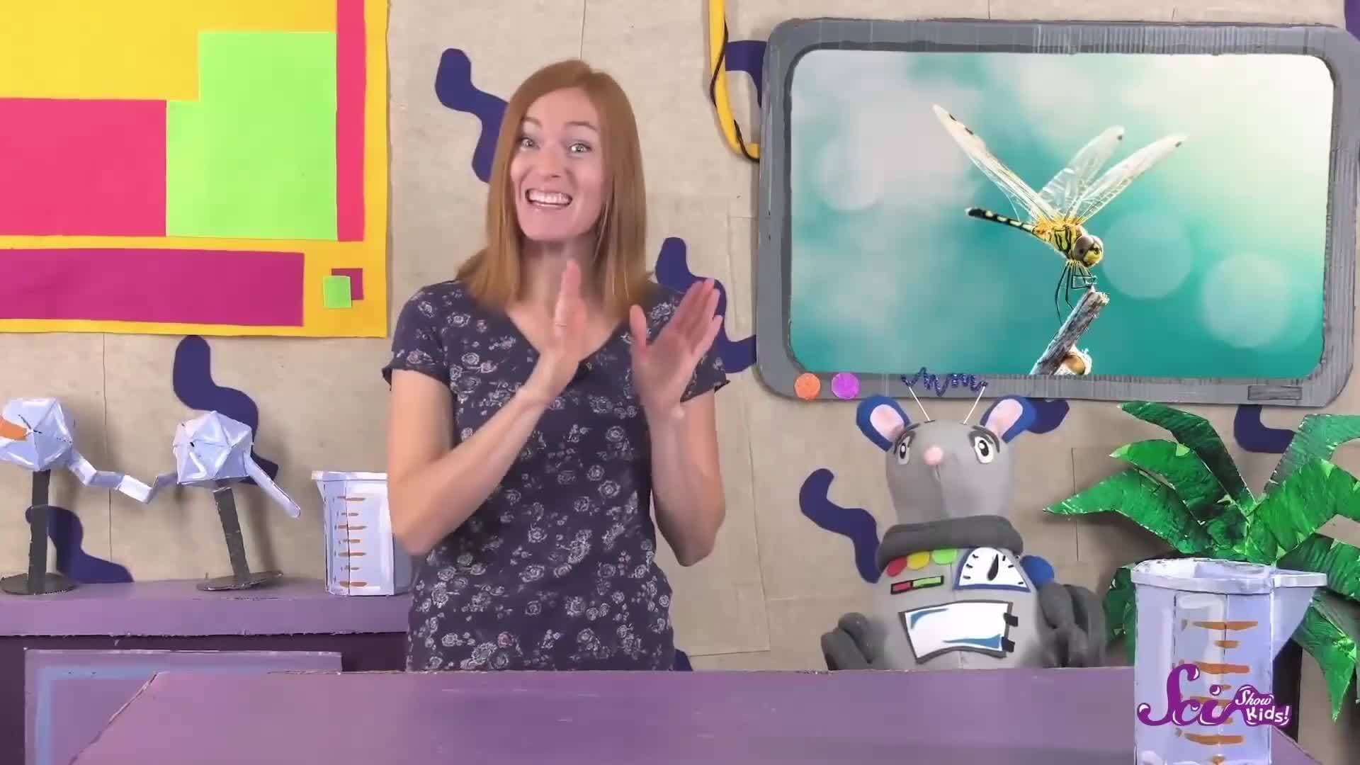 Animal Guessing Game! | Compilation | SciShow Kids