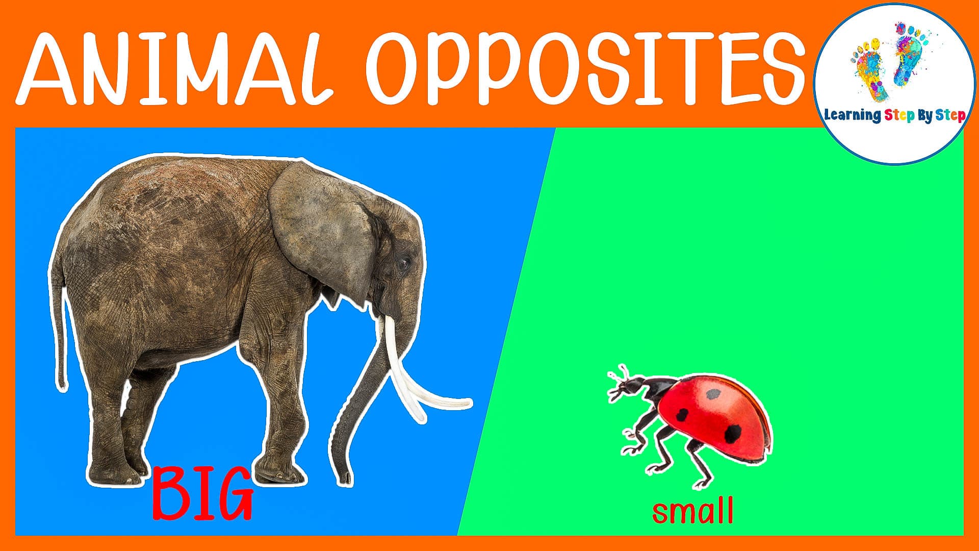 Learn Opposites with Animals For Kids