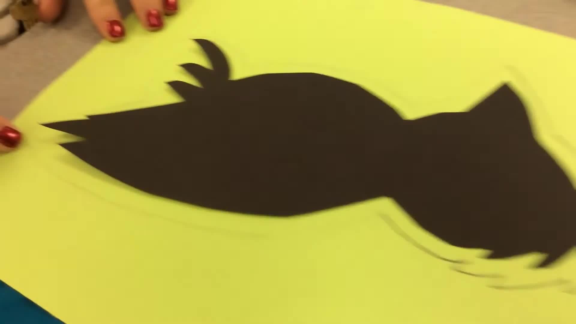 6th grade Paper Molas