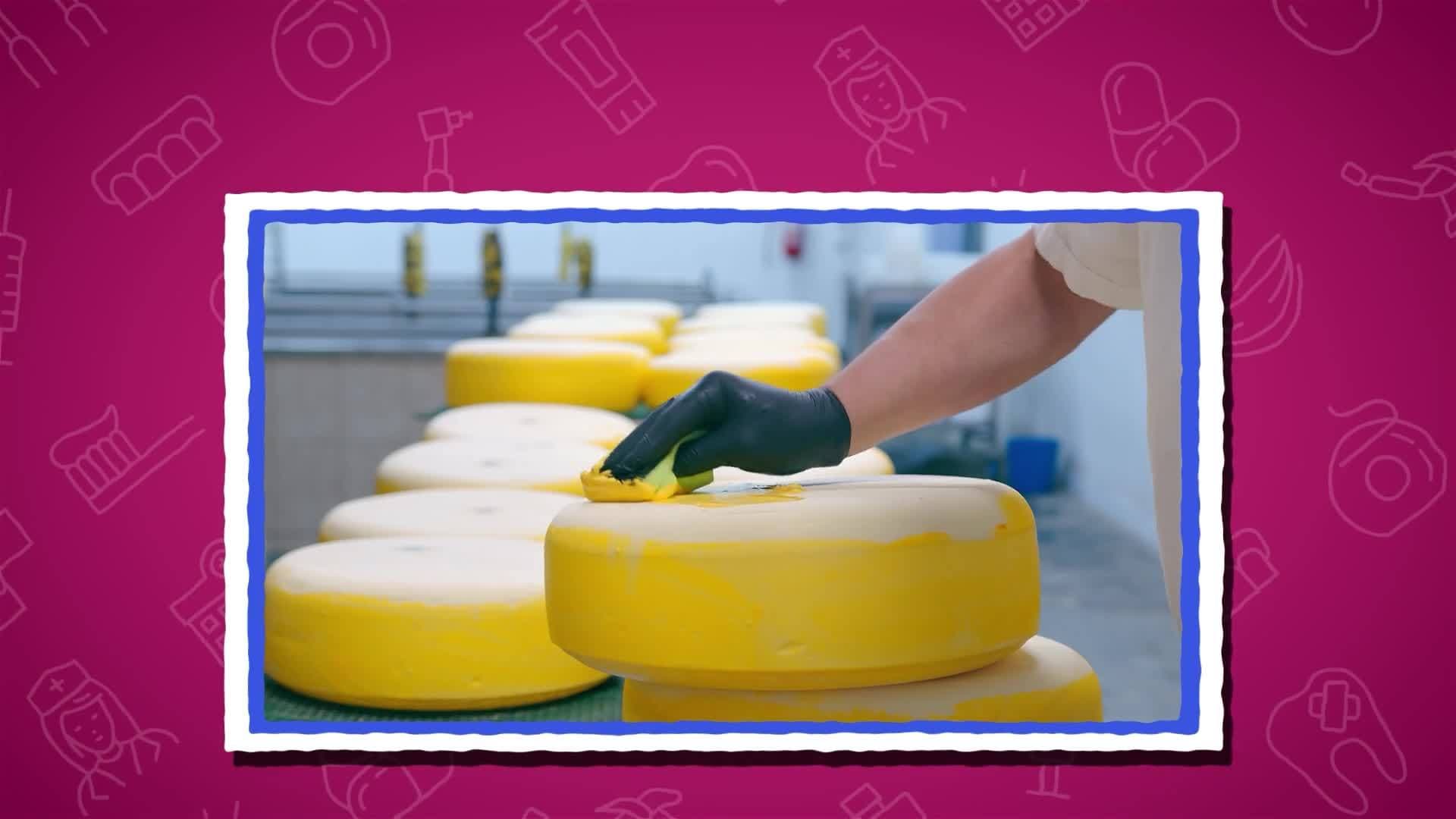 I WONDER - Is Cheese Good For Your Teeth?