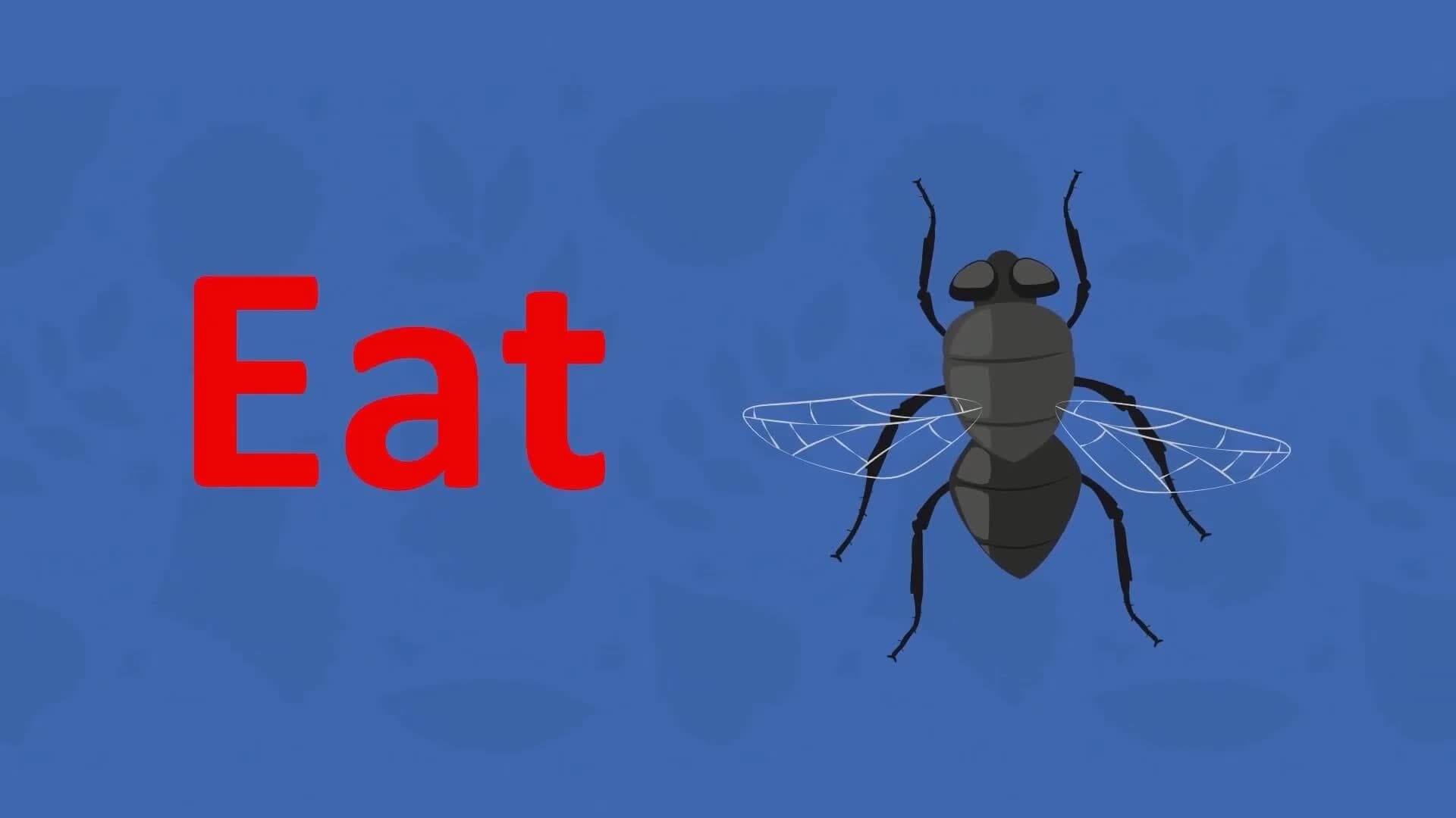 I WONDER - What Do Some Plants Eat?