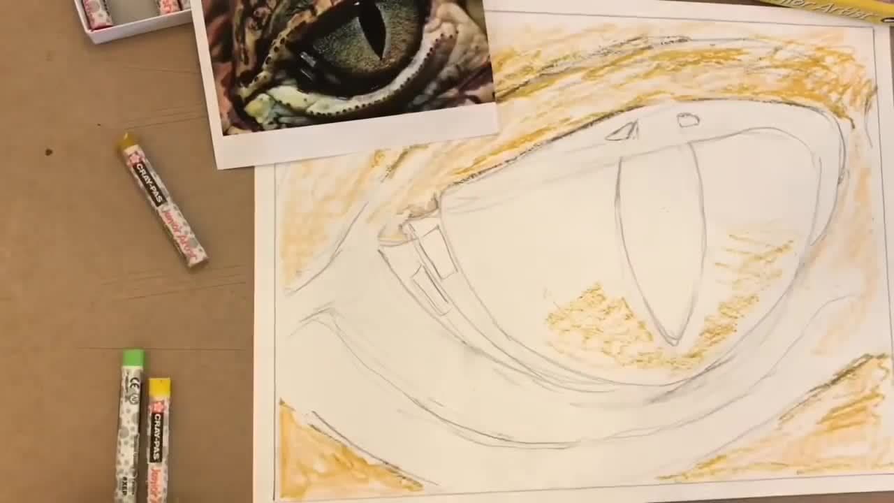 Drawing Animal Eyes in Oil Pastel