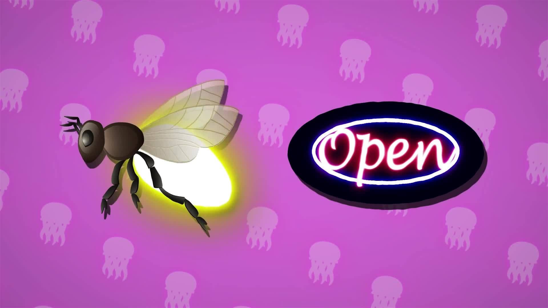 I WONDER - How Does Bioluminescence Work?