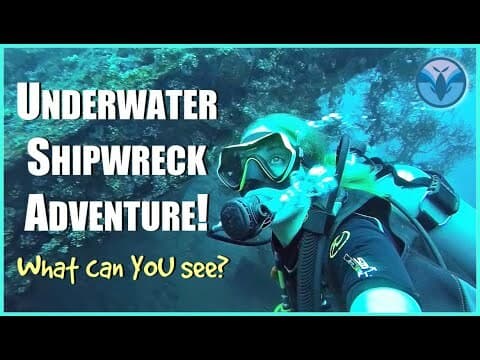 Underwater SHIPWRECK Adventure | What can YOU See? | Part 2 with Maddie and Greg
