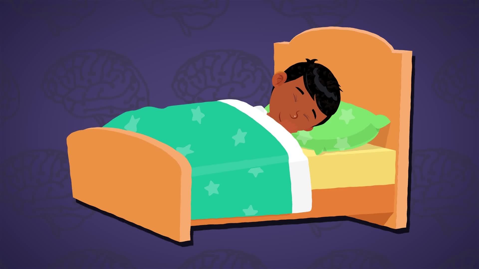 I WONDER - Is The Brain Working When We Sleep?