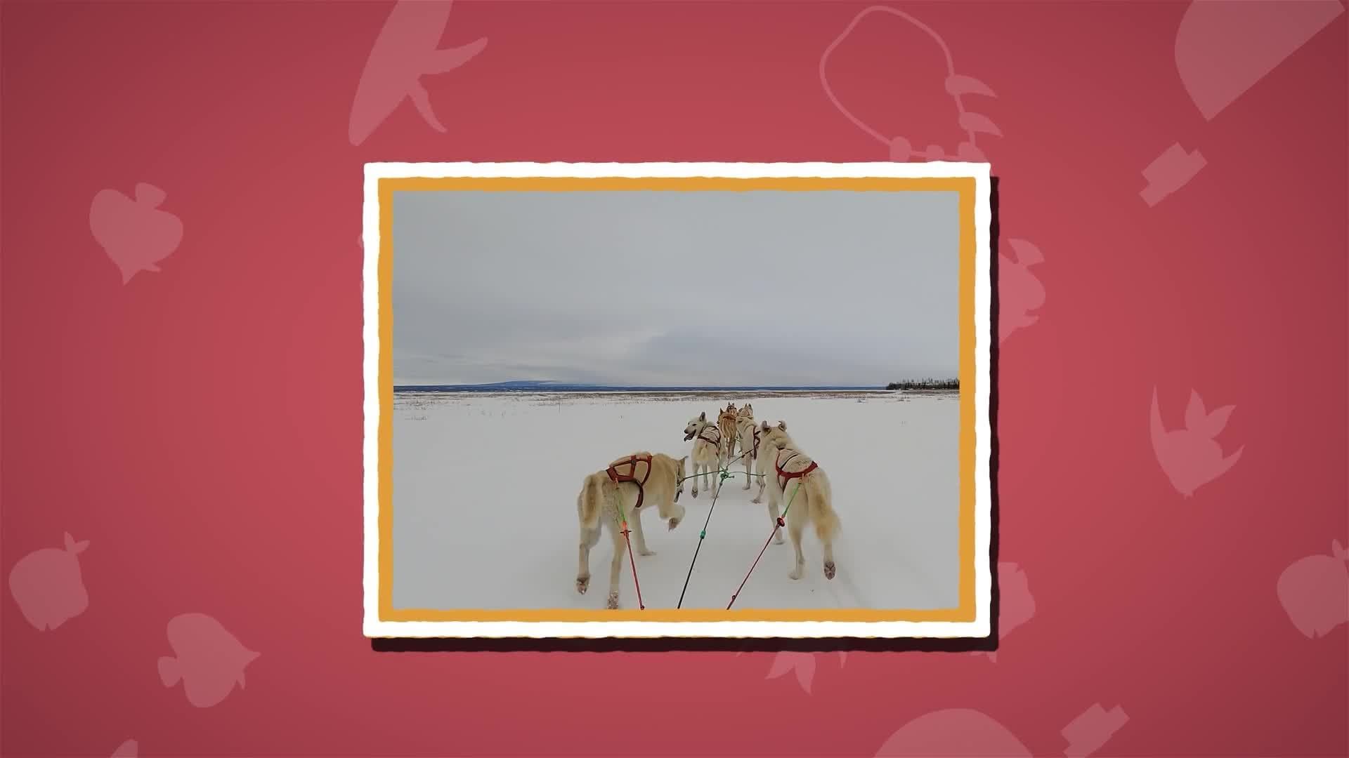 I WONDER - Who Invented Sledding?