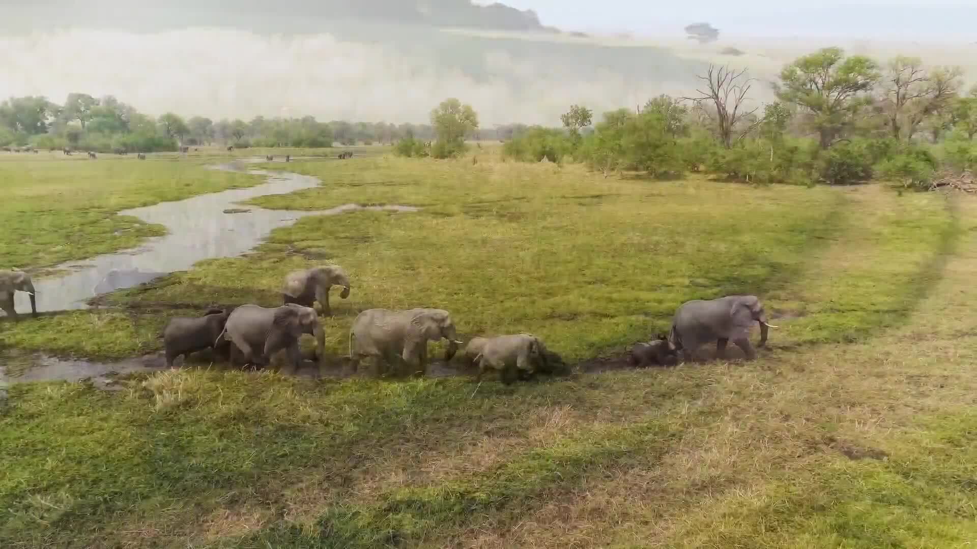 Australia, Antarctica, and Africa