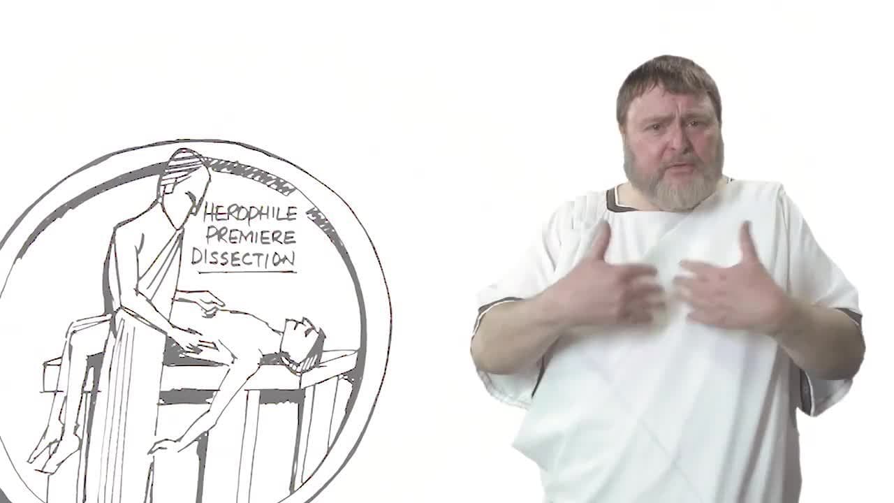 Herophilus and Erasistratus