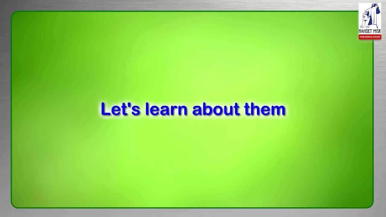 The types of angles.