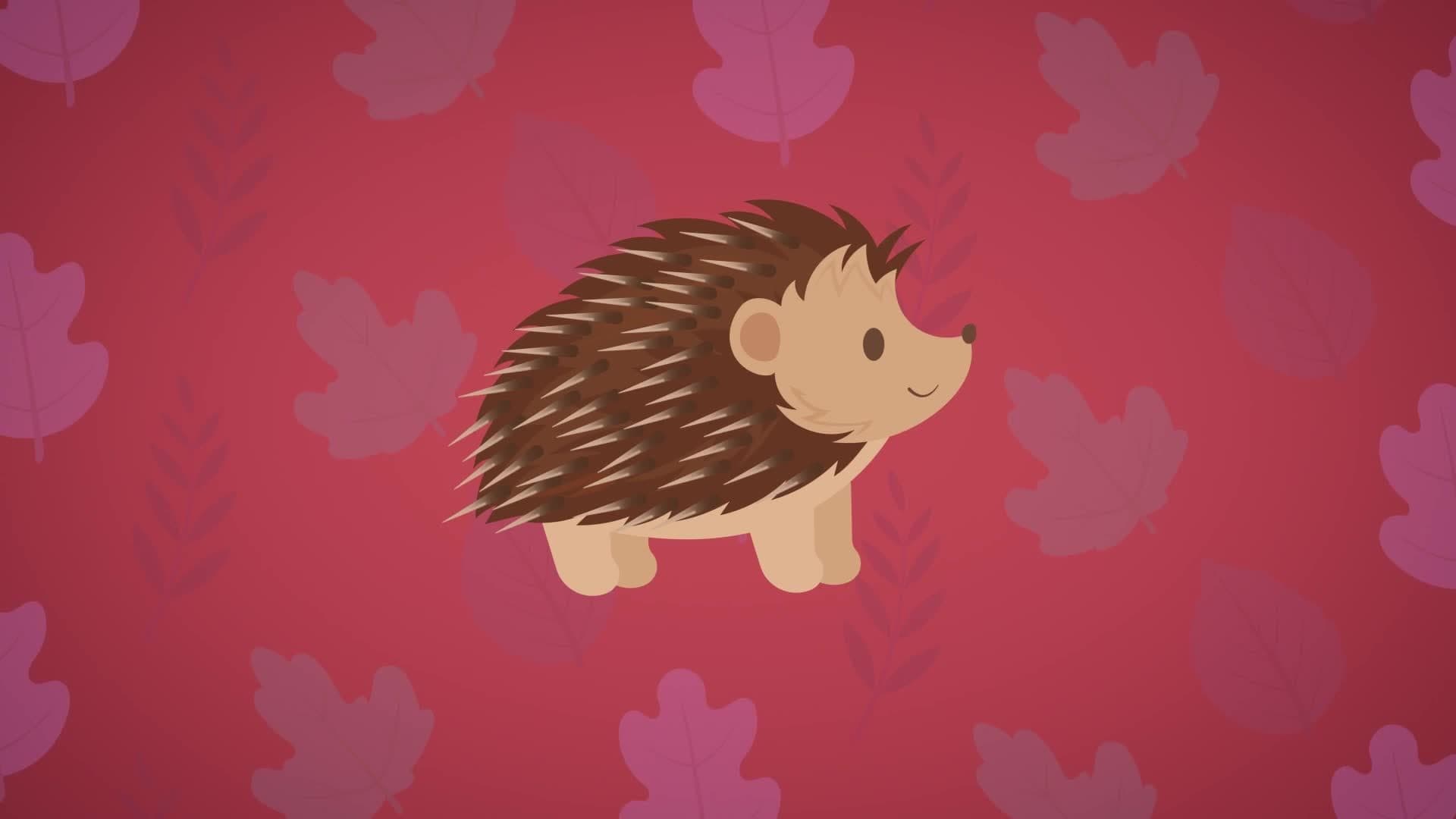 Five Facts - Hedgehogs