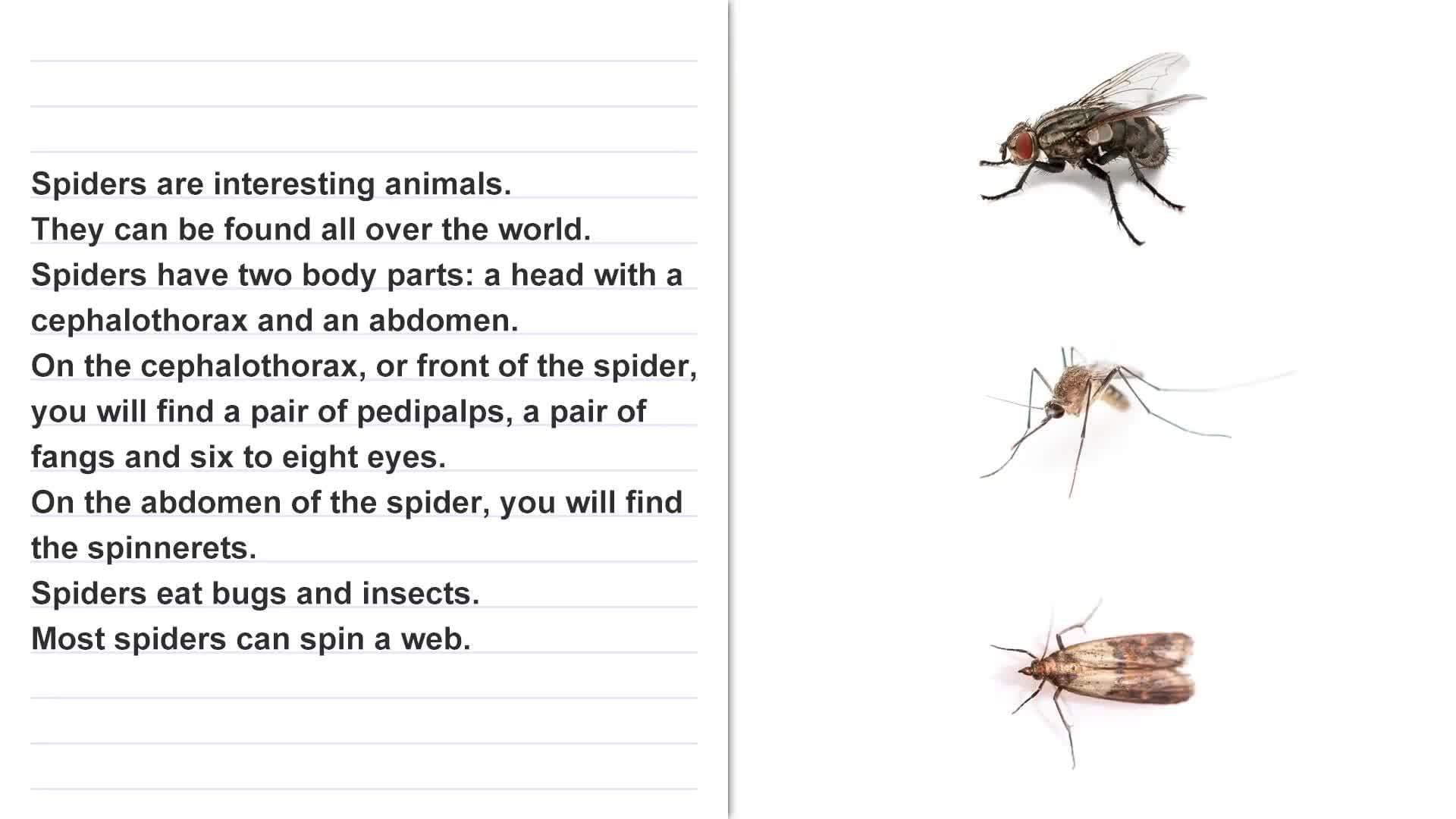 Language Function and Construction:  Text Structure, Part 2