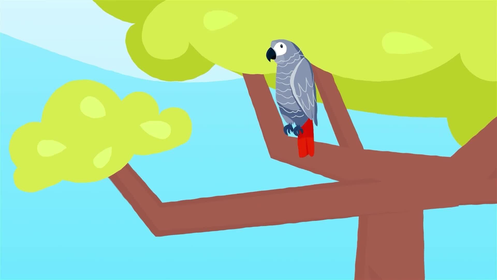 I WONDER - How Clever Are African Grey Parrots?