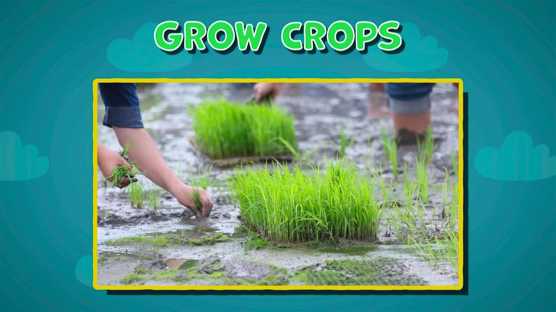 I WONDER - Are There Any Advantages During Monsoon Season?