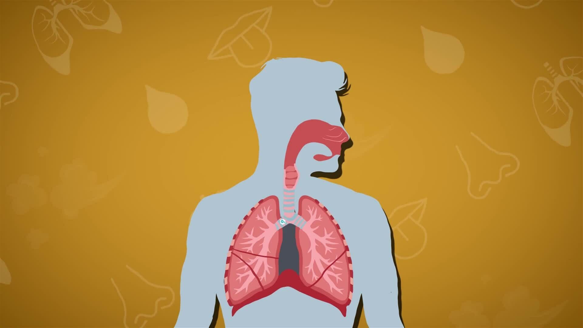 I WONDER - What Happens To The Air That We Breathe?