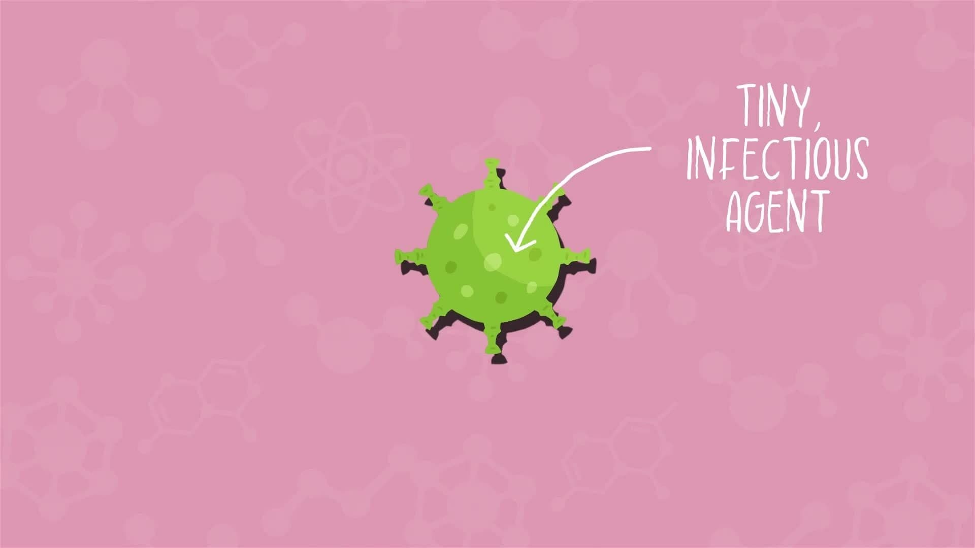 I WONDER - What Is A Virus?