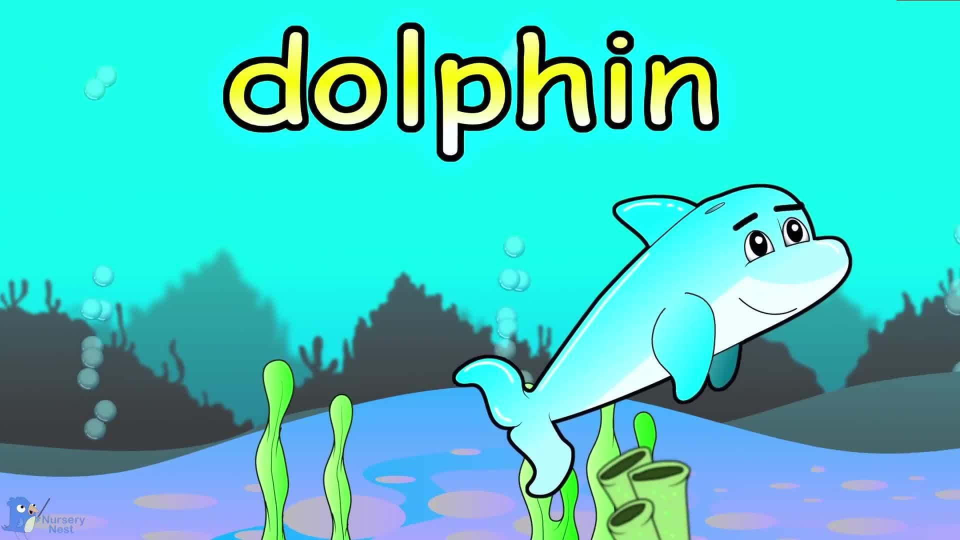 Ocean Animals Song | Sea Animals For Kids