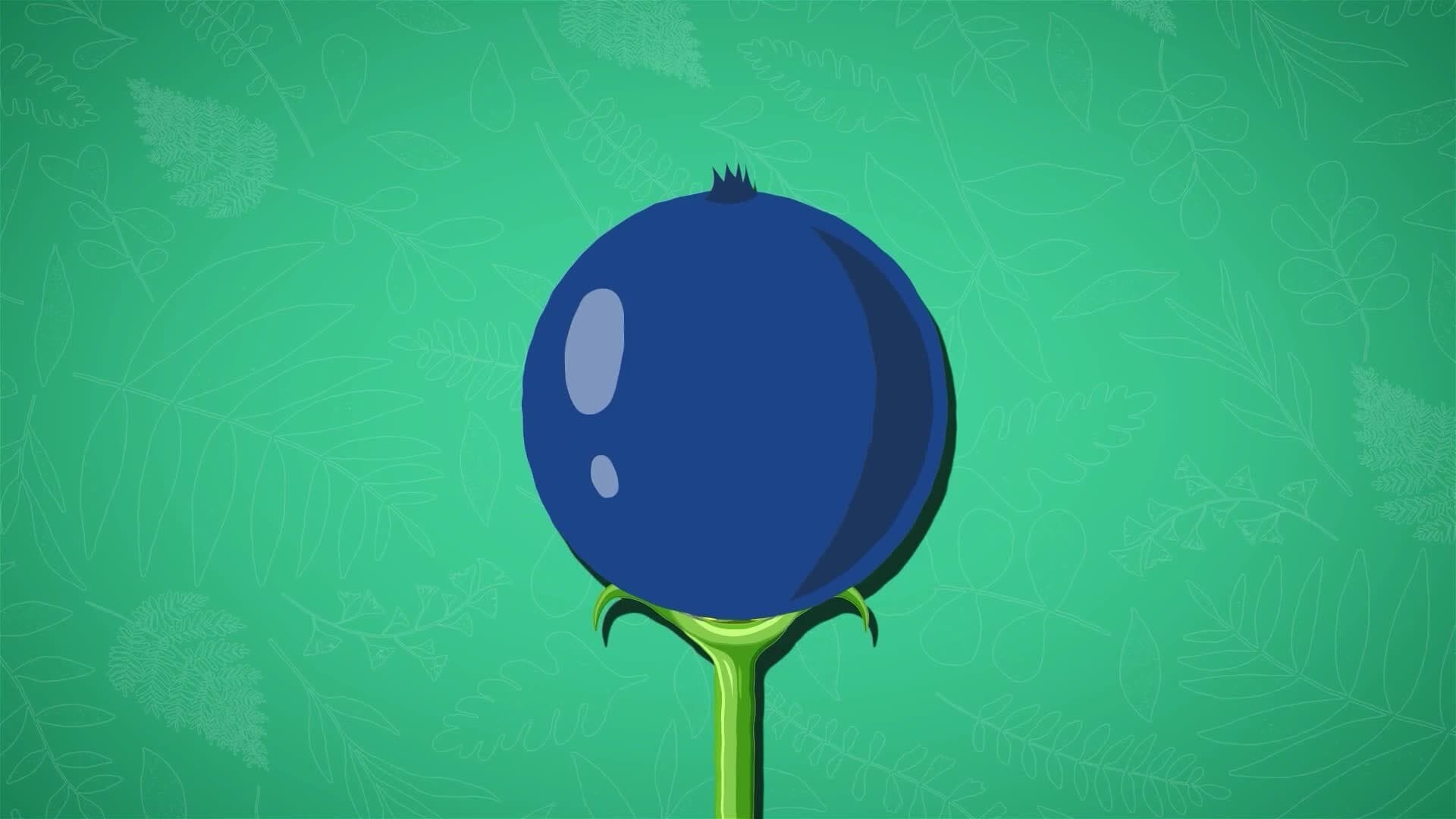 I WONDER - What Job Does Fruit Do?