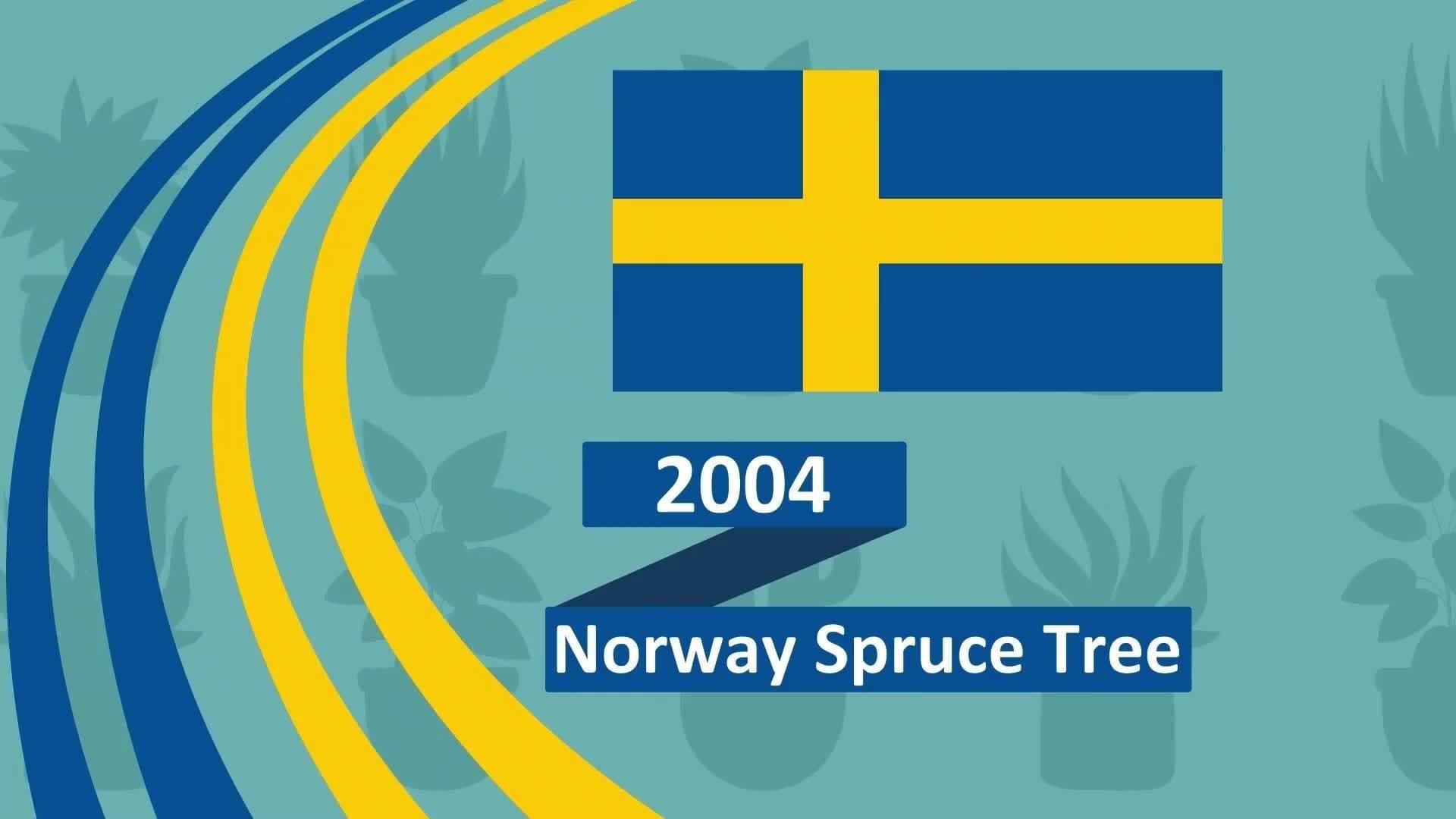 I WONDER - How Old Can Some Plants Be?