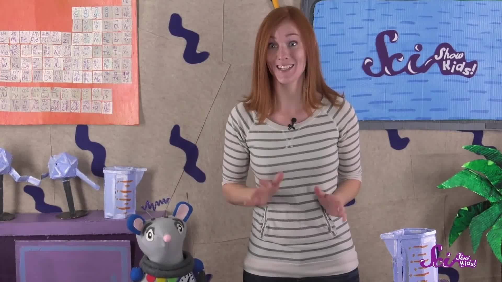 Trees That Never Lose Their Leaves! Science for Kids