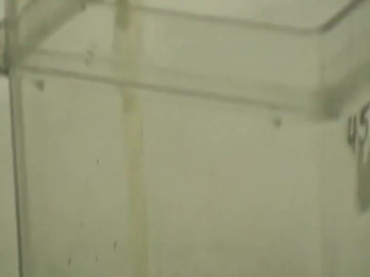 Tree Farming: Why change trees genetically