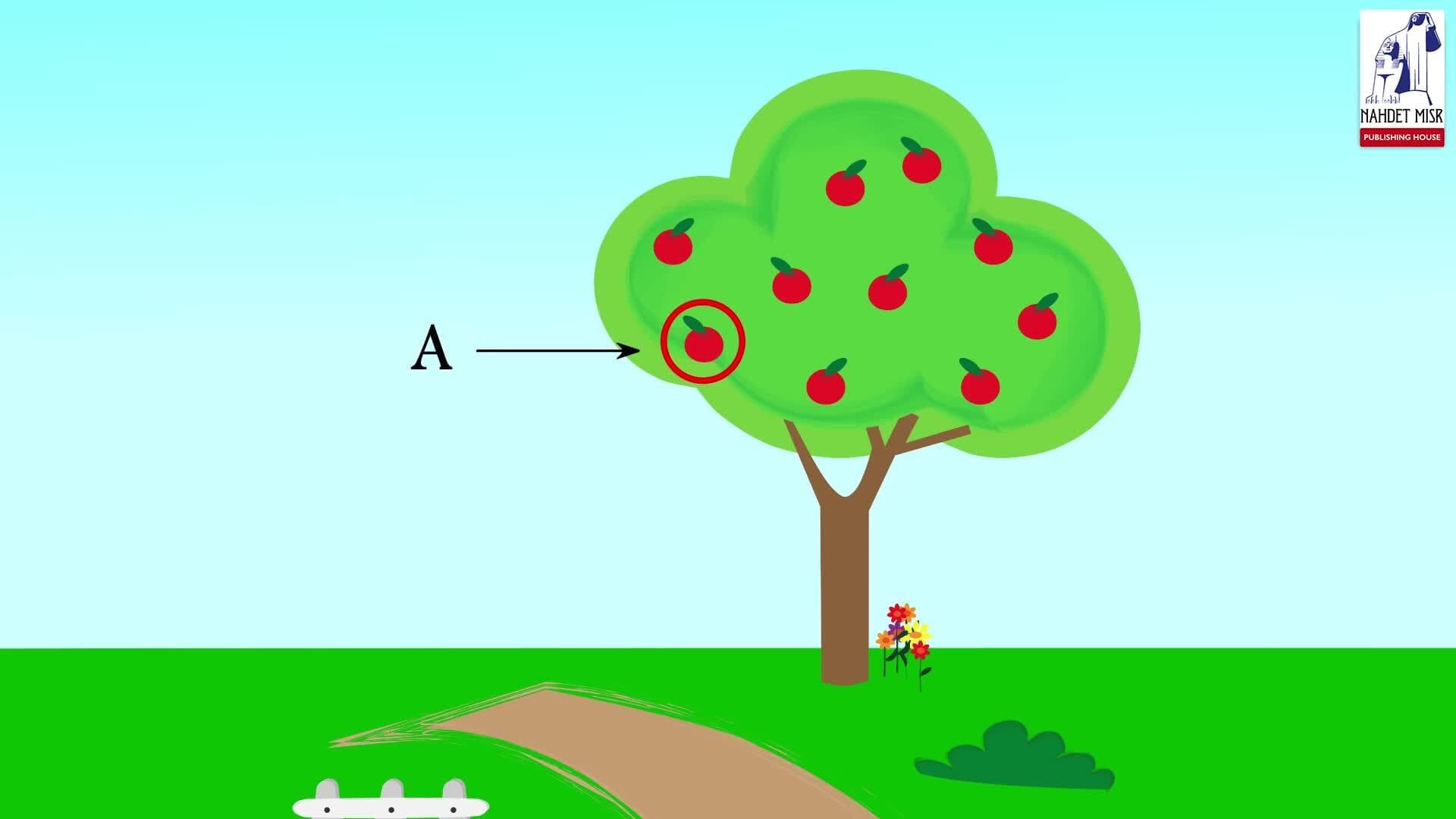 Similarity and Projections: Projection