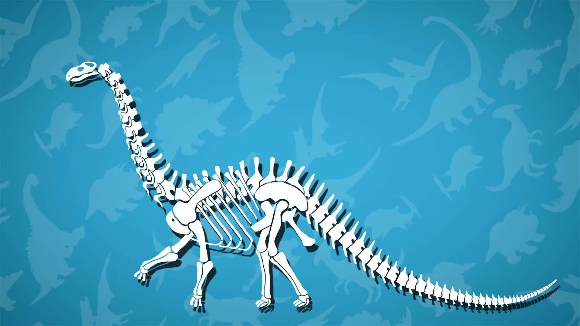 I WONDER - Who Discovered The Stegosaurus?