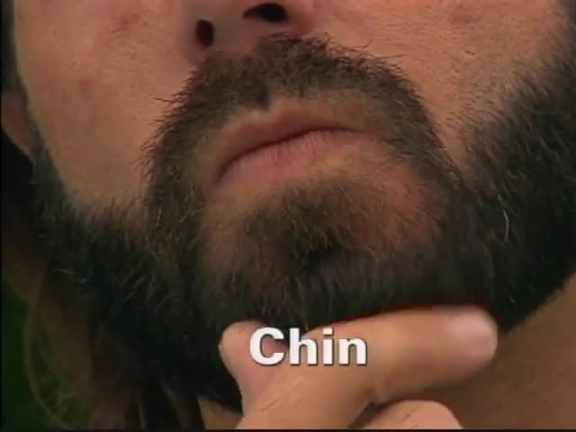 Body Parts & Grooming: A closer look at body parts