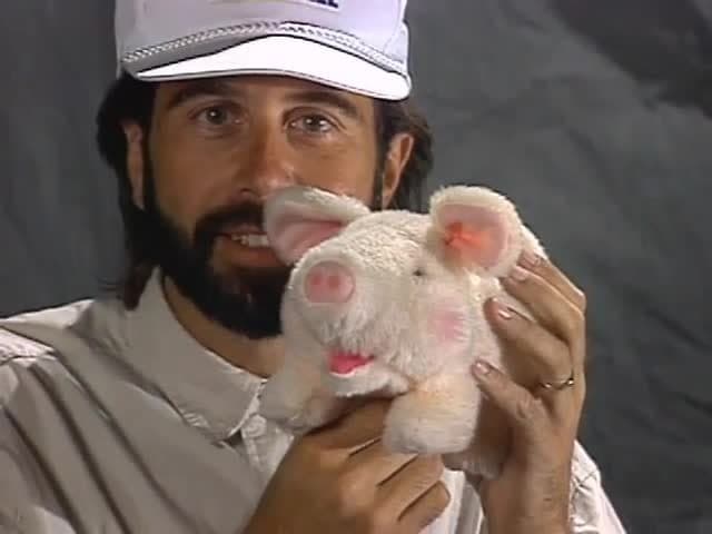 Reading & Spelling: Spelling real life objects