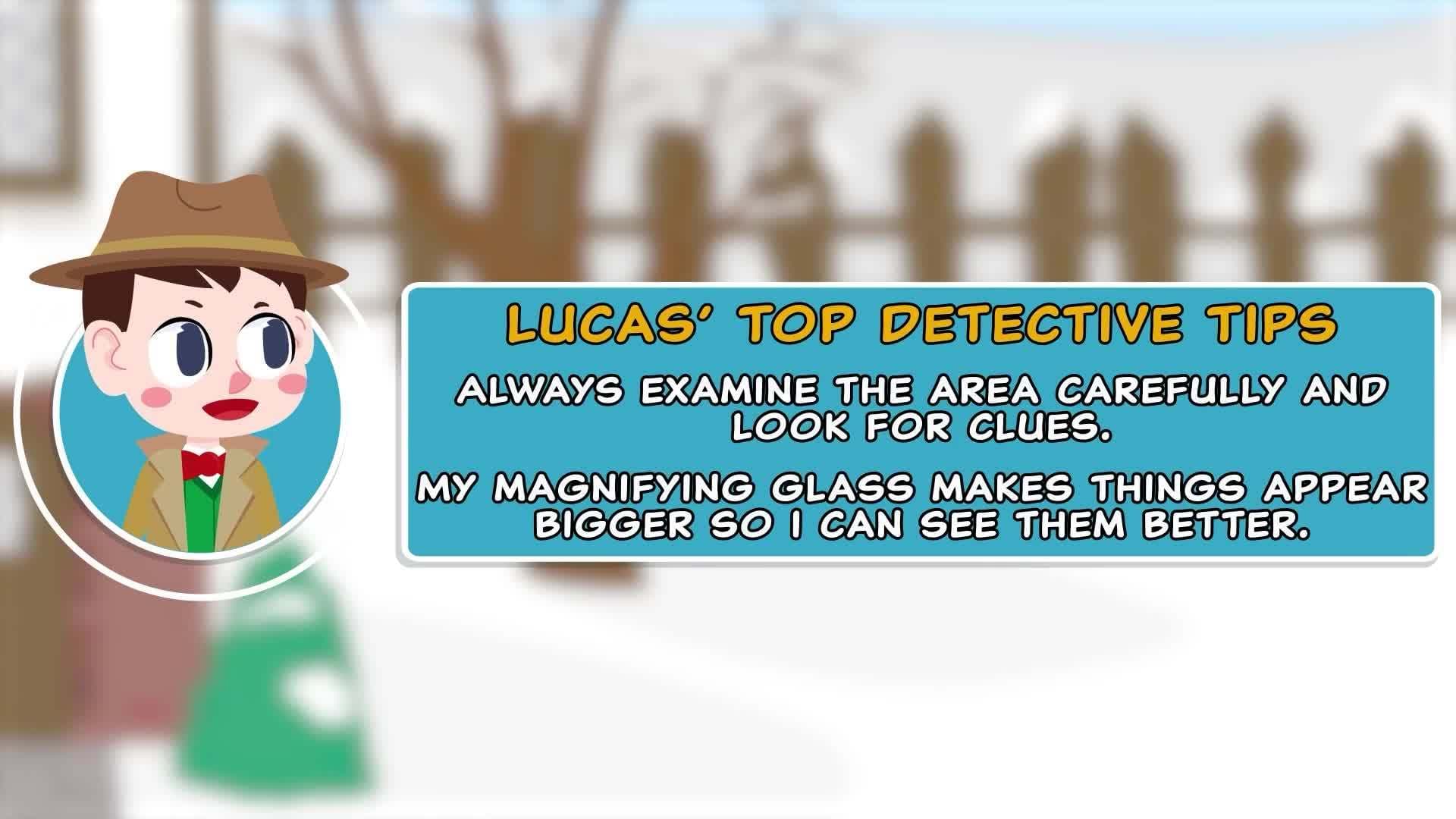 Mystery of The Parcel in the Snow