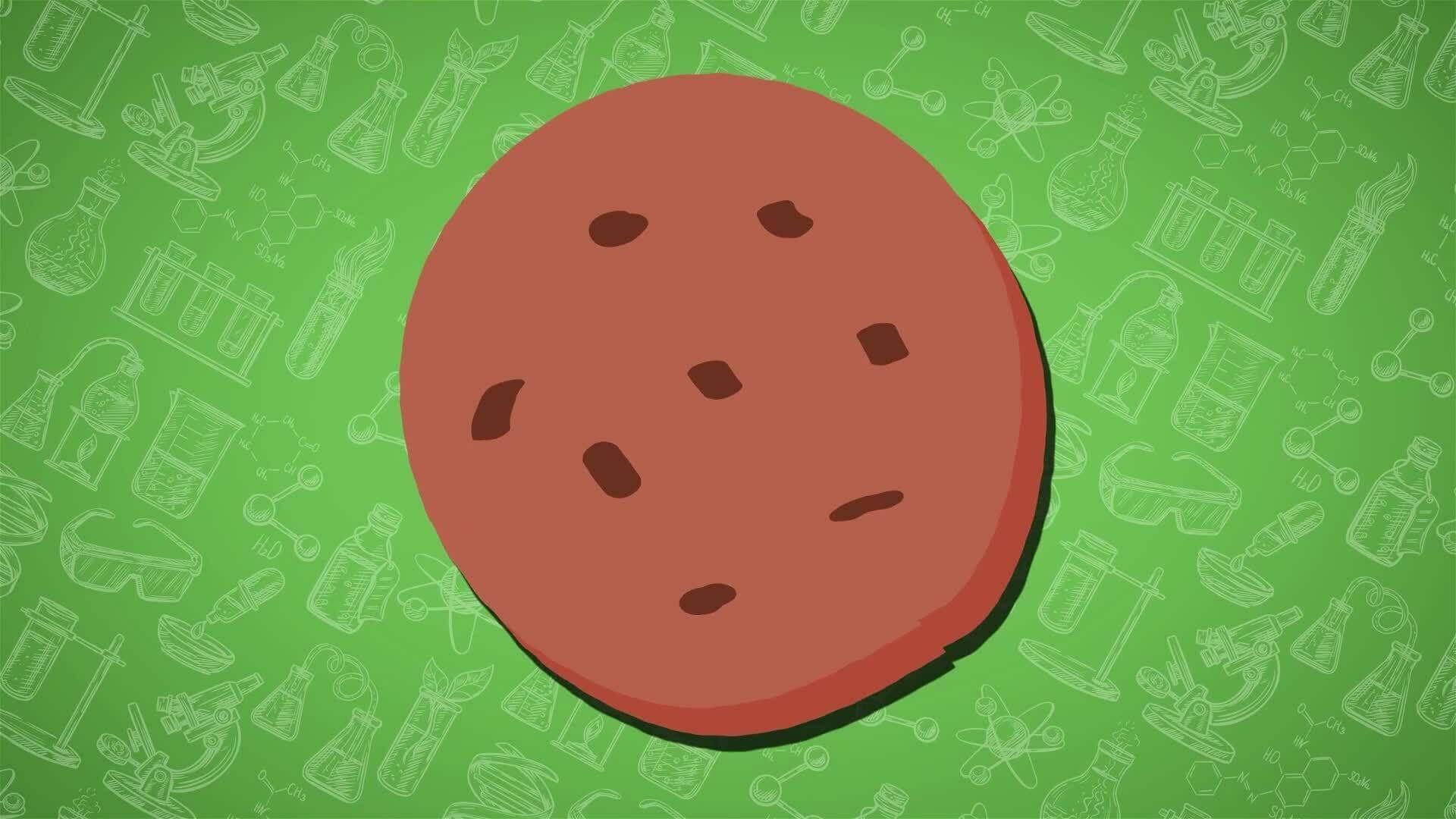 I WONDER - What Is Chemical Energy?