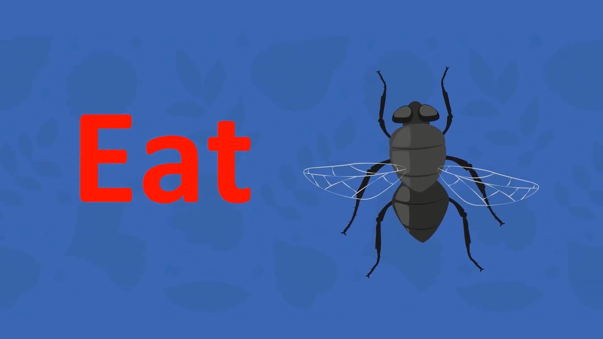 I WONDER - Are There Any Plants That Eat Meat?
