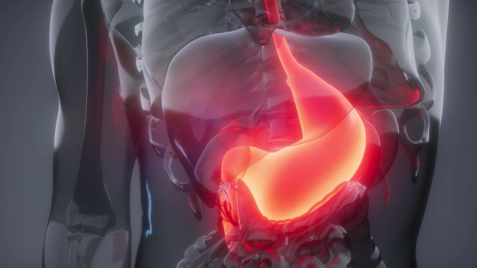 I WONDER - Why Do We Need Acids And Bases?