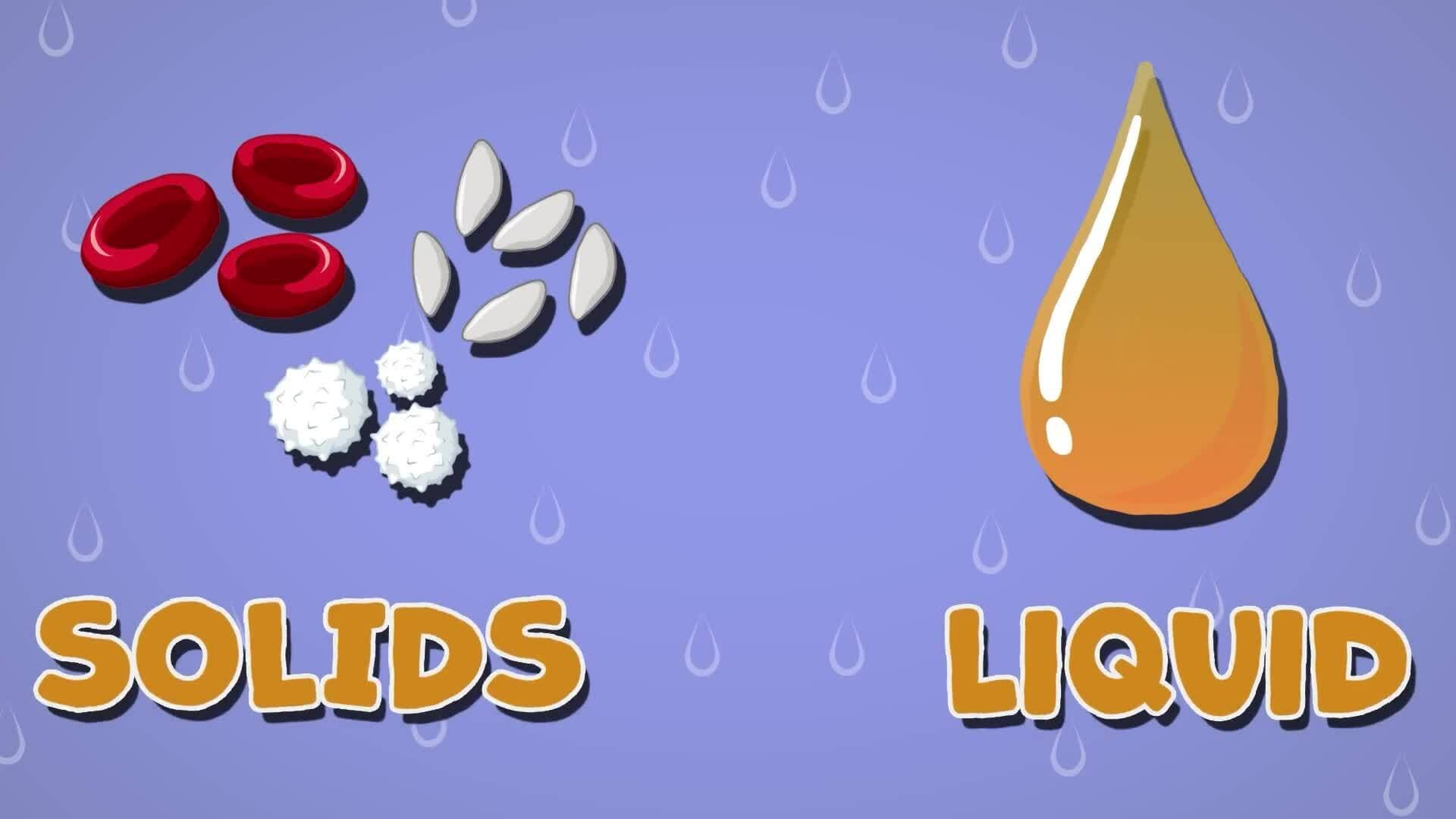 I WONDER - What Is Blood Made Of?