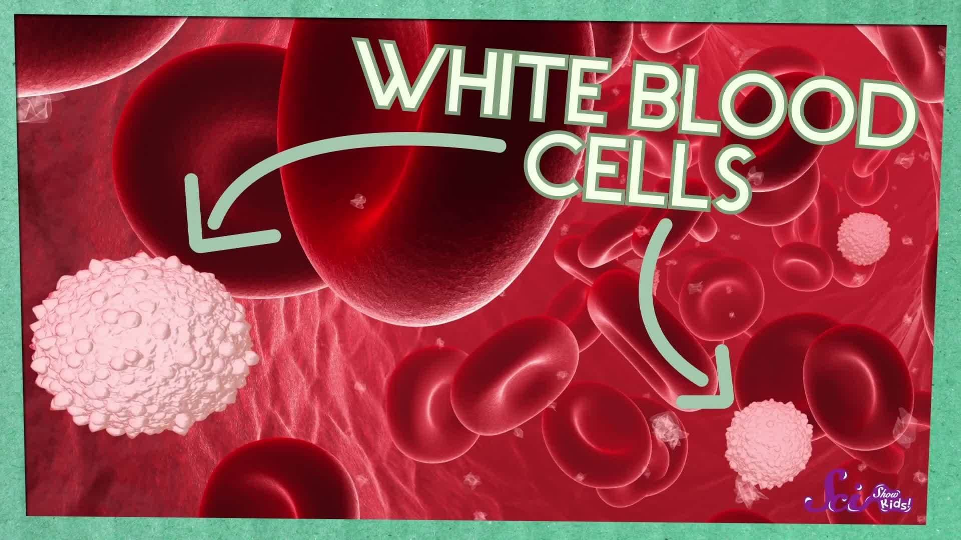 Why Does My Ear Hurt?