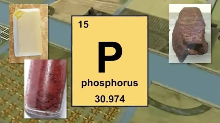 The Everglades Ecosystem: Hamilton Disstons plan and the affects of a canal